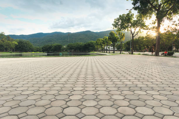 Best Custom Driveway Pavers  in Latham, NY
