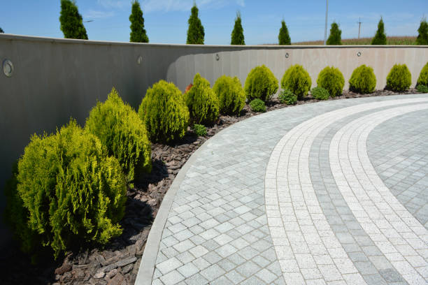 Reasons to Select Us for Your Driveway Paving Requirements in Latham, NY